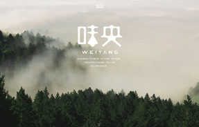 高端網(wǎng)站建設(shè)案例